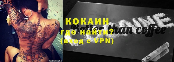 бошки Инта