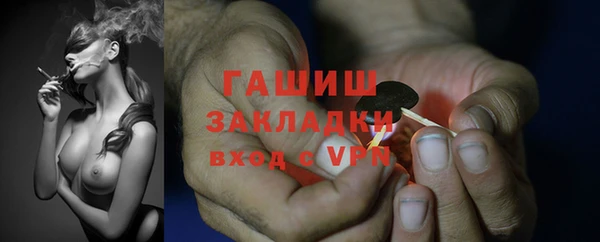стаф Каменка
