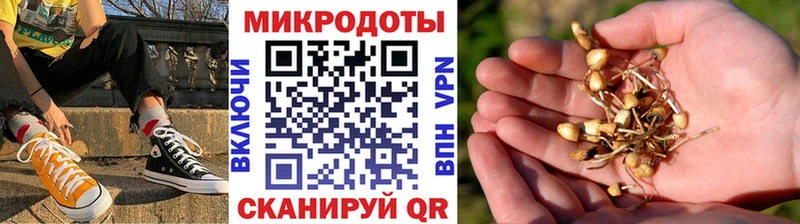 Галлюциногенные грибы GOLDEN TEACHER Сердобск